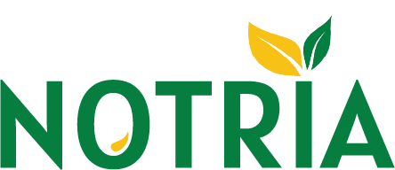 NOTRIA_Principal